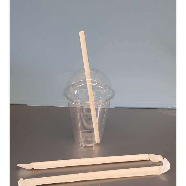 Slush Straws - Individually Wrapped